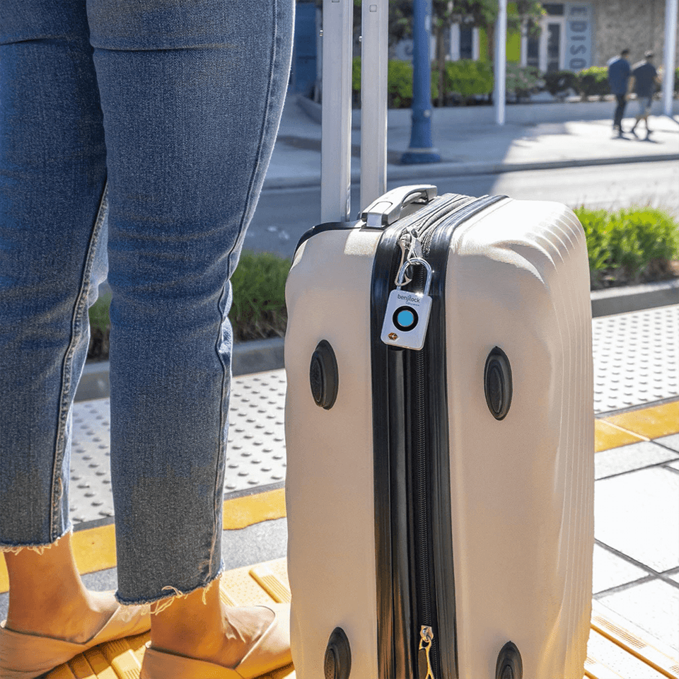 BenjiLock by Hampton Cadenas de voyage à empreintes digitales TSA