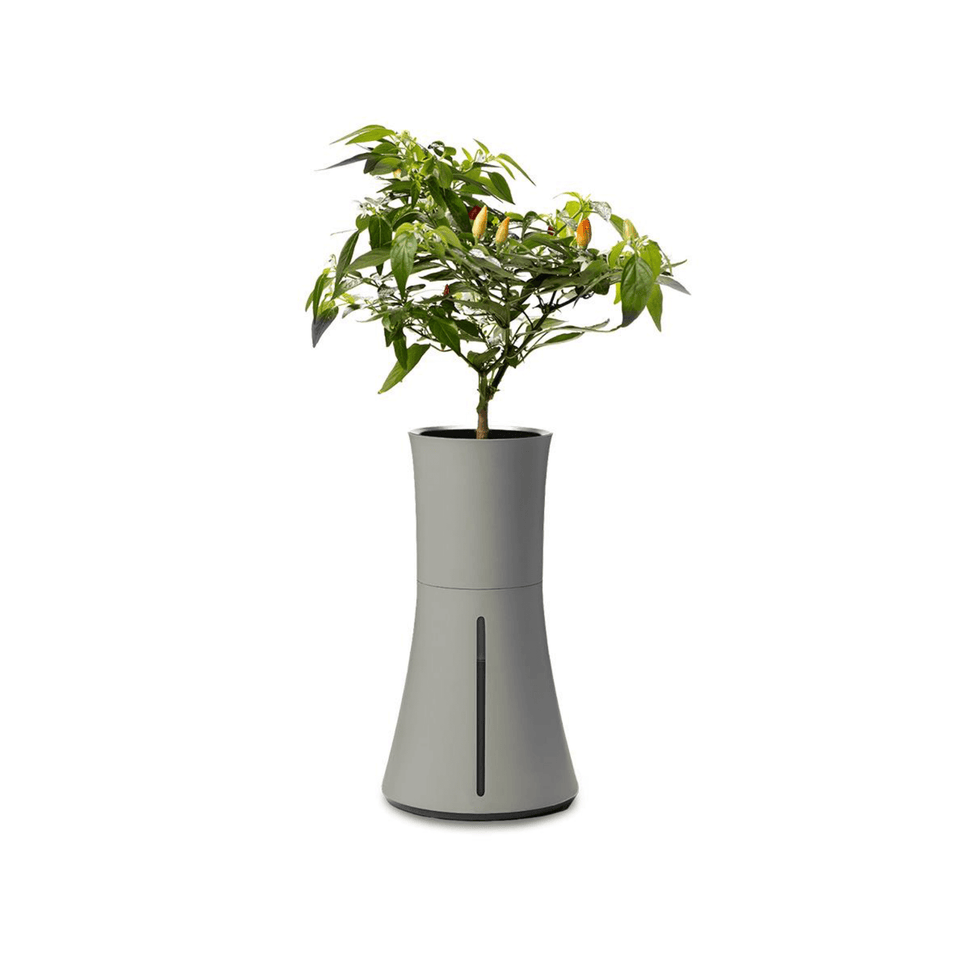 Botanium: The Self Watering Planter