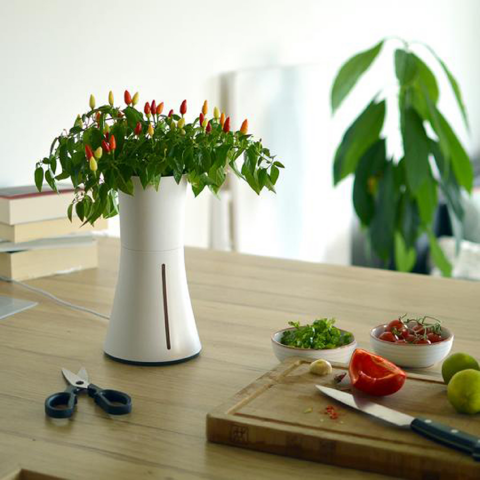 Botanium: The Self Watering Planter