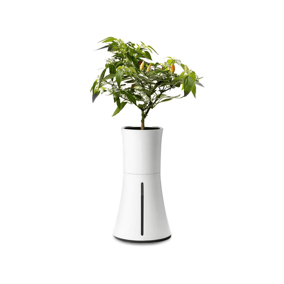 Botanium: The Self Watering Planter