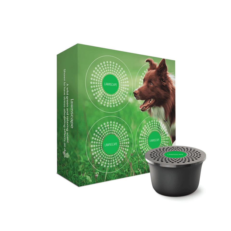 Capsules aromatiques Moodo Smart Home - Pack familial de 4