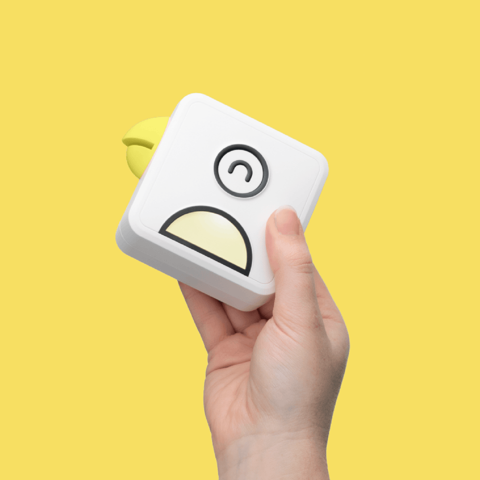 Poooliprinter L1 200dpi & One FREE Paper Roll