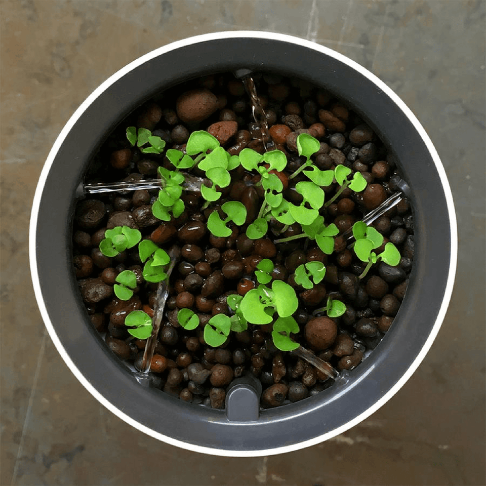 Botanium: The Self Watering Planter