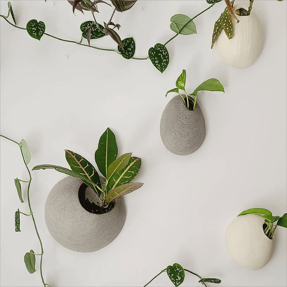 Cecilia Mejia Design “Nido Mini” Ceramic Wall Planter